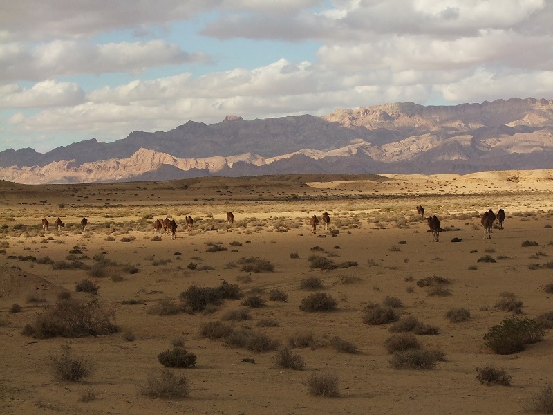 Tunézia sivatagos belső vidéke